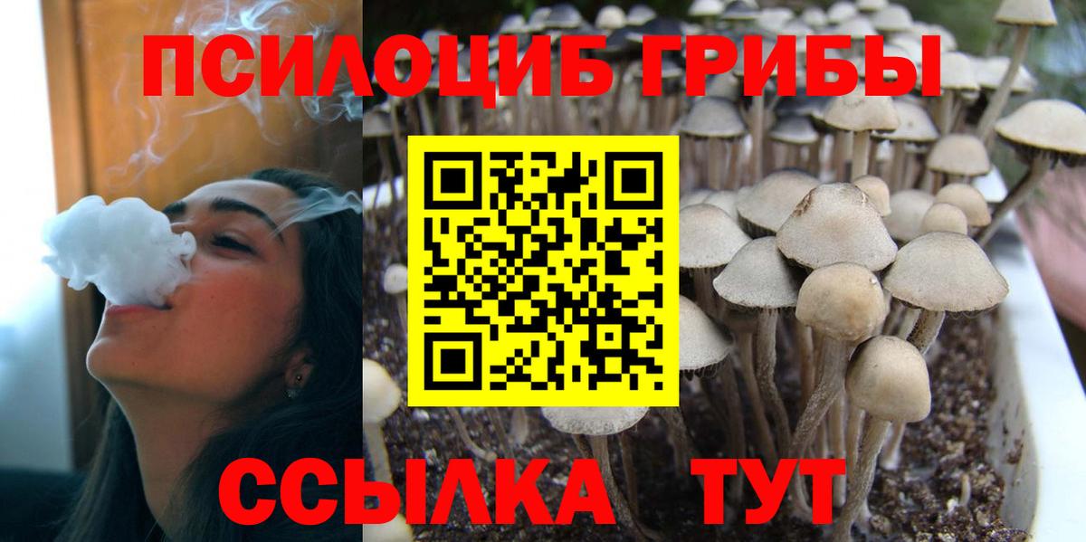 Галлюциногенные грибы Magic Shrooms Кстово