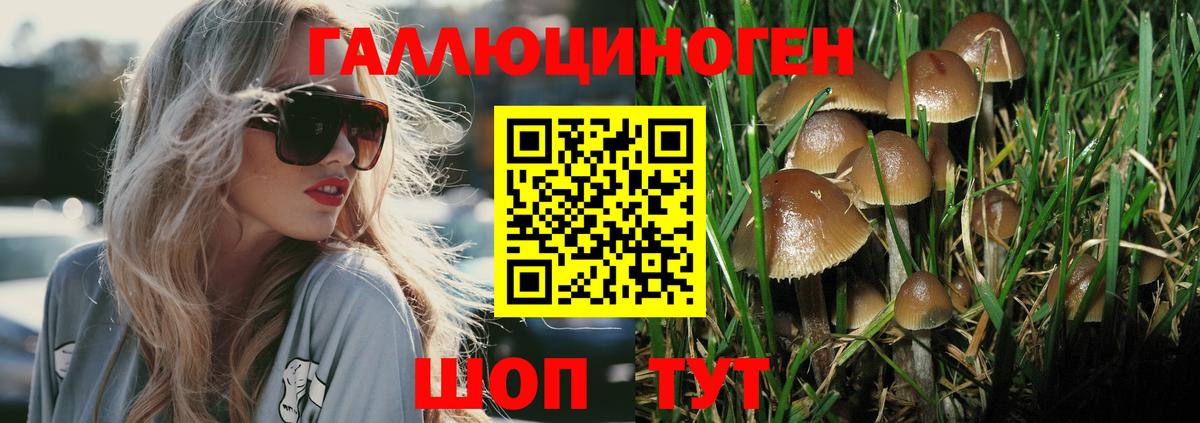 купить  цена  Псилоцибиновые грибы ЛСД  Вход с VPN  Галлюциногенные грибы прущие грибы  Кстово 